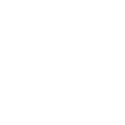 Carreiras Policiais e Militares
